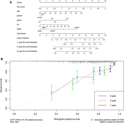 Holliday Cross-Recognition Protein HJURP: Association With the Tumor Microenvironment in Hepatocellular Carcinoma and With Patient Prognosis